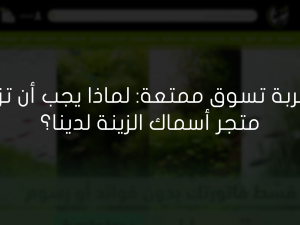 أهم النصائح لشراء مستلزمات أسماك الزينة من متجر متخصص أهم النصائح لشراء مستلزمات أسماك الزينة من متجر متخصص