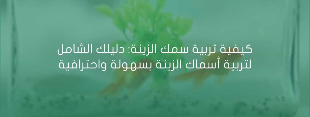 كيفية تربية سمك الزينة دليلك الشامل كيفية تربية سمك الزينة دليلك الشامل