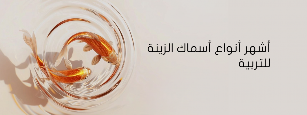 أشهر أنواع أسماك الزينة للتربية أشهر أنواع أسماك الزينة للتربية