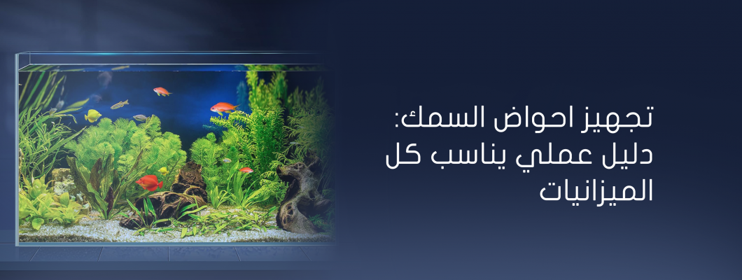 تجهيز احواض السمك: دليل عملي يناسب كل الميزانيات