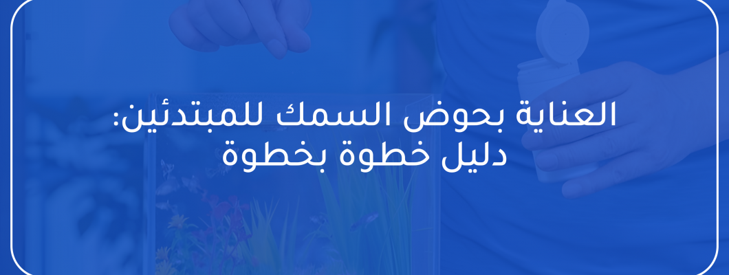 العناية بحوض السمك للمبتدئين: دليل خطوة بخطوة العناية بحوض السمك للمبتدئين: دليل خطوة بخطوة