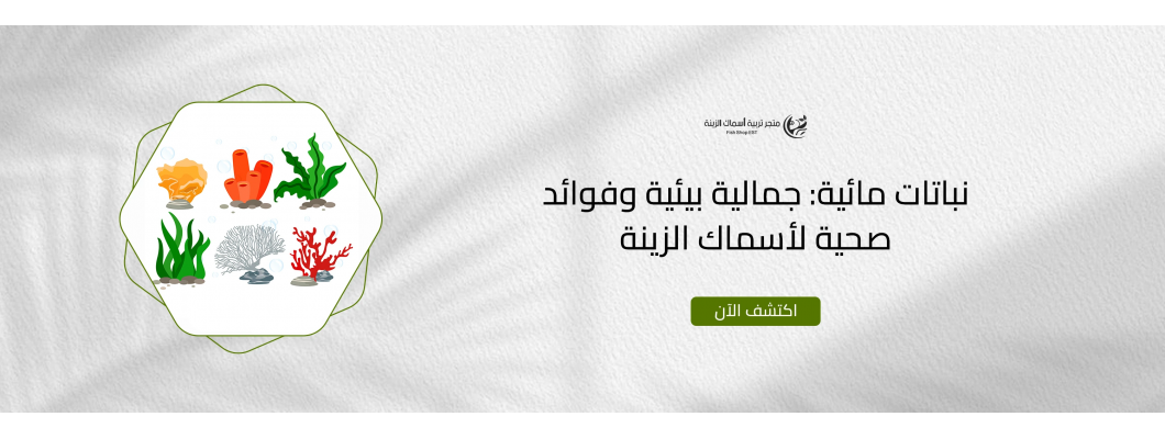 نباتات مائية: جمالية بيئية وفوائد صحية لأسماك الزينة نباتات مائية: جمالية بيئية وفوائد صحية لأسماك الزينة