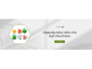 نباتات مائية: جمالية بيئية وفوائد صحية لأسماك الزينة