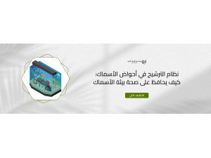 نظام الترشيح في أحواض الأسماك: كيف يحافظ على صحة بيئة الأسماك