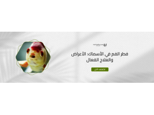 فطر الفم في الأسماك: الأعراض والعلاج الفعال