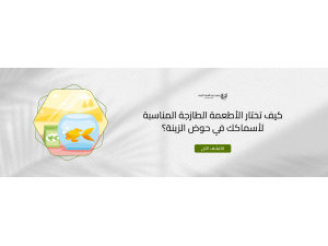 كيف تختار الأطعمة الطازجة المناسبة لأسماكك في حوض الزينة؟