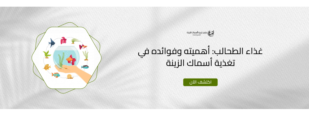 غذاء الطحالب: أهميته وفوائده في تغذية أسماك الزينة