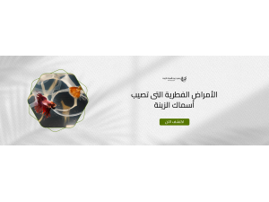 الأمراض الفطرية التى تصيب أسماك الزينة