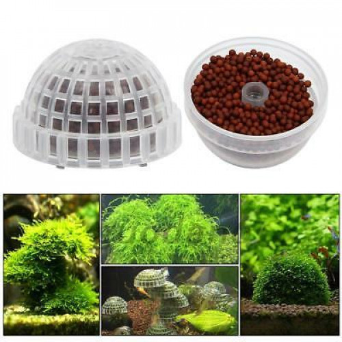 أداة صناعة كورة من نبات الجافا موس أداة صناعة كورة من نبات الجافا موس