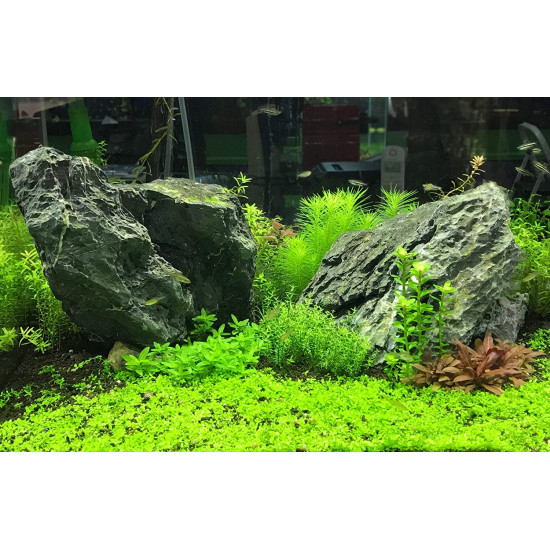 Seachem - Potassium 250ml Seachem - Potassium 250ml