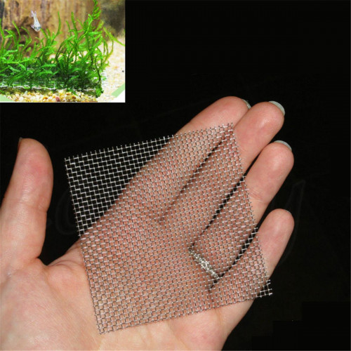 قطعة مربعة من الستانلس ستيل لنبات للجافا موس والريكا قطعة مربعة من الستانلس ستيل لنبات للجافا موس والريكا