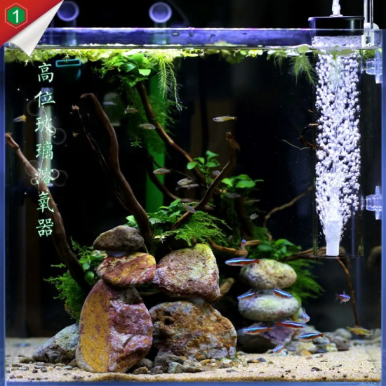 فلتر داخلي 1 في 3 داعم للبكتيريا بالإضافة الى أداة تفريخ البيض فلتر داخلي 1 في 3 داعم للبكتيريا بالإضافة الى أداة تفريخ البيض