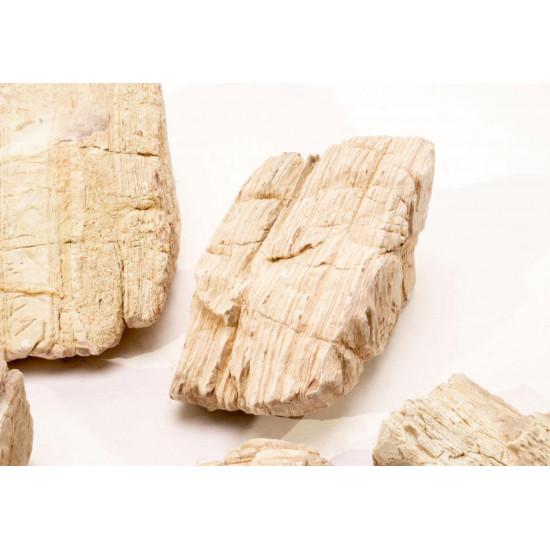 صخور الرمال المخططه - Sand Stone صخور الرمال المخططه - Sand Stone