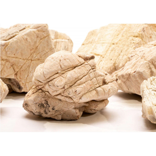 صخور الرمال المخططه - Sand Stone صخور الرمال المخططه - Sand Stone