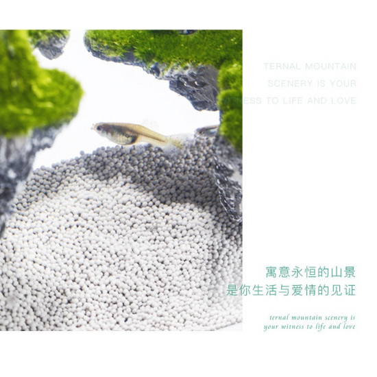 مجموعة حوض صغير زجاج سوبر كرستال مع ديكور كامل ثلاثي الأبعاد - nepall aquarium مجموعة حوض صغير زجاج سوبر كرستال مع ديكور كامل ثلاثي الأبعاد - nepall aquarium