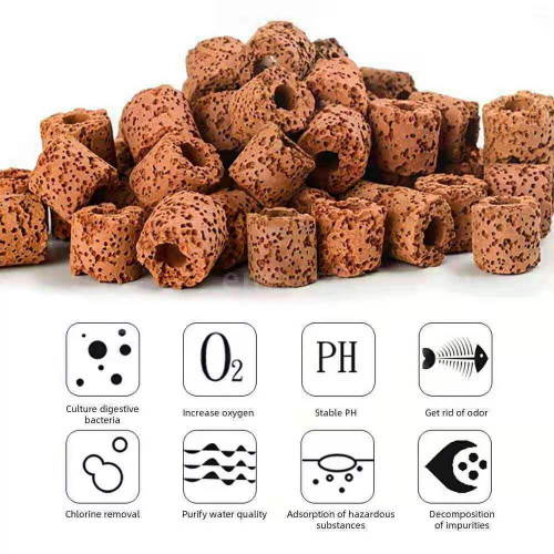 سيراميك أسطواني مصنوعة من الصخور البركانية 500 جرام - Bacteria breathing ring red سيراميك أسطواني مصنوعة من الصخور البركانية 500 جرام - Bacteria breathing ring red