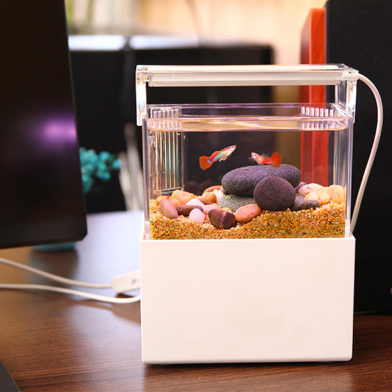 الحوض الكيوت المميز مع فلتر وإضاءة USB من شركة - QANVEE CUTE aquarium الحوض الكيوت المميز مع فلتر وإضاءة USB من شركة - QANVEE CUTE aquarium