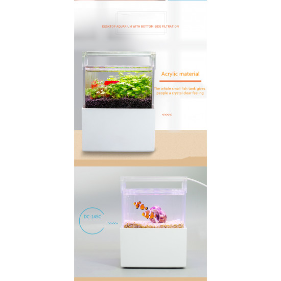 الحوض الكيوت المميز مع فلتر وإضاءة USB من شركة - QANVEE CUTE aquarium الحوض الكيوت المميز مع فلتر وإضاءة USB من شركة - QANVEE CUTE aquarium