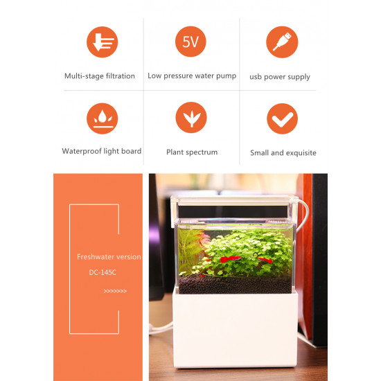 الحوض الكيوت المميز مع فلتر وإضاءة USB من شركة - QANVEE CUTE aquarium الحوض الكيوت المميز مع فلتر وإضاءة USB من شركة - QANVEE CUTE aquarium