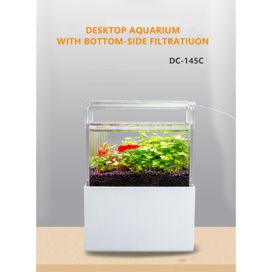 الحوض الكيوت المميز مع فلتر وإضاءة USB من شركة - QANVEE CUTE aquarium الحوض الكيوت المميز مع فلتر وإضاءة USB من شركة - QANVEE CUTE aquarium