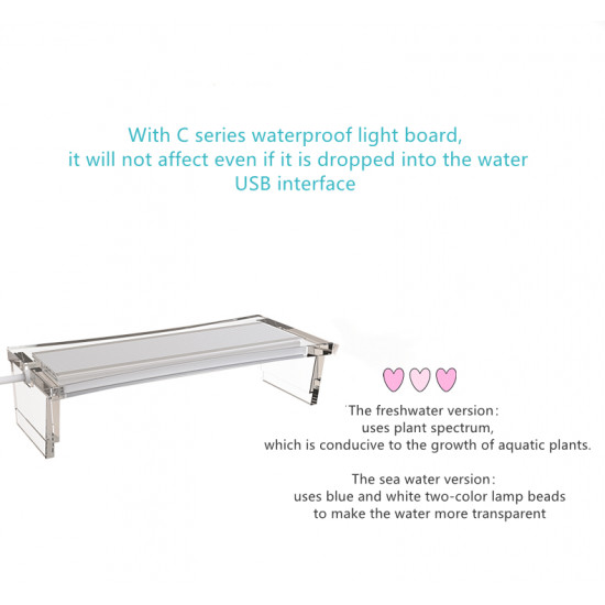 الحوض الكيوت المميز مع فلتر وإضاءة USB من شركة - QANVEE CUTE aquarium الحوض الكيوت المميز مع فلتر وإضاءة USB من شركة - QANVEE CUTE aquarium