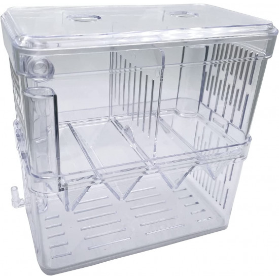 حضانة أسماك بحجم صغير وكبير - Fish Hatchery حضانة أسماك بحجم صغير وكبير - Fish Hatchery