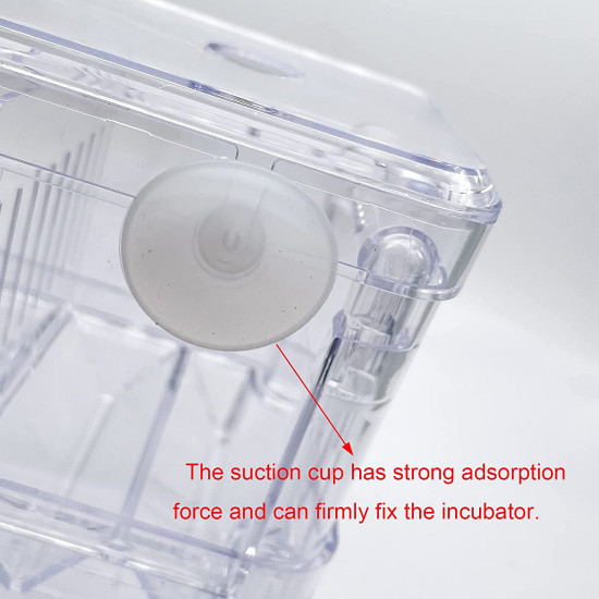 حضانة أسماك بحجم صغير وكبير - Fish Hatchery حضانة أسماك بحجم صغير وكبير - Fish Hatchery