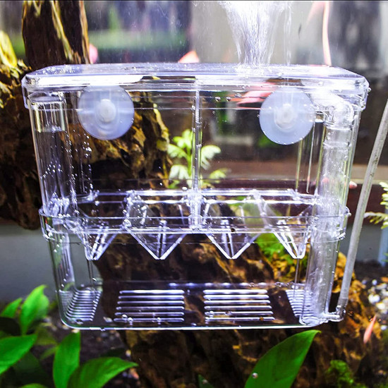 حضانة أسماك بحجم صغير وكبير - Fish Hatchery حضانة أسماك بحجم صغير وكبير - Fish Hatchery