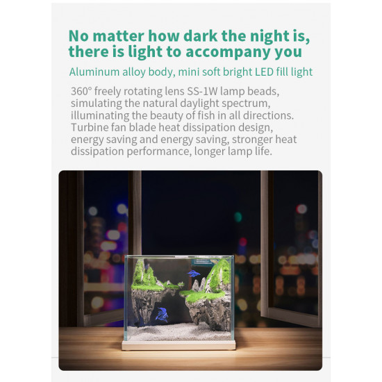 مجموعة حوض صغير زجاج سوبر كرستال مع ديكور كامل ثلاثي الأبعاد - nepall aquarium مجموعة حوض صغير زجاج سوبر كرستال مع ديكور كامل ثلاثي الأبعاد - nepall aquarium