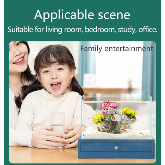 حوض صغير زجاج سوبر كرستال مع قاعدة خشبية - nepall aquarium wood حوض صغير زجاج سوبر كرستال مع قاعدة خشبية - nepall aquarium wood