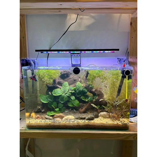 إضاءة LED WRGB مع أستاند بحجم 60 سم - Fullgain إضاءة LED WRGB مع أستاند بحجم 60 سم - Fullgain