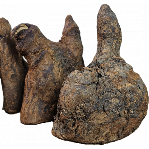 خشب شبيه بالصخور - Feeding Hill wood خشب شبيه بالصخور - Feeding Hill wood