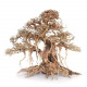 خشب من النوع Bonsai wood مقاس XXL خشب من النوع Bonsai wood مقاس XXL