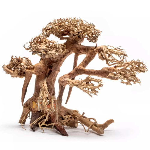 خشب من النوع Bonsai wood مقاس L خشب من النوع Bonsai wood مقاس L