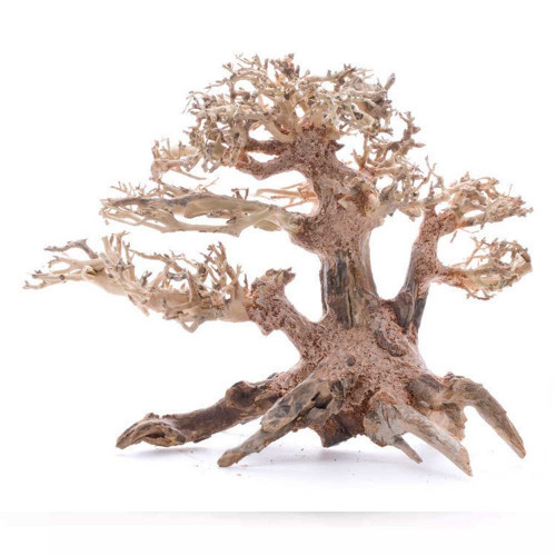 خشب من النوع Bonsai wood مقاس S خشب من النوع Bonsai wood مقاس S