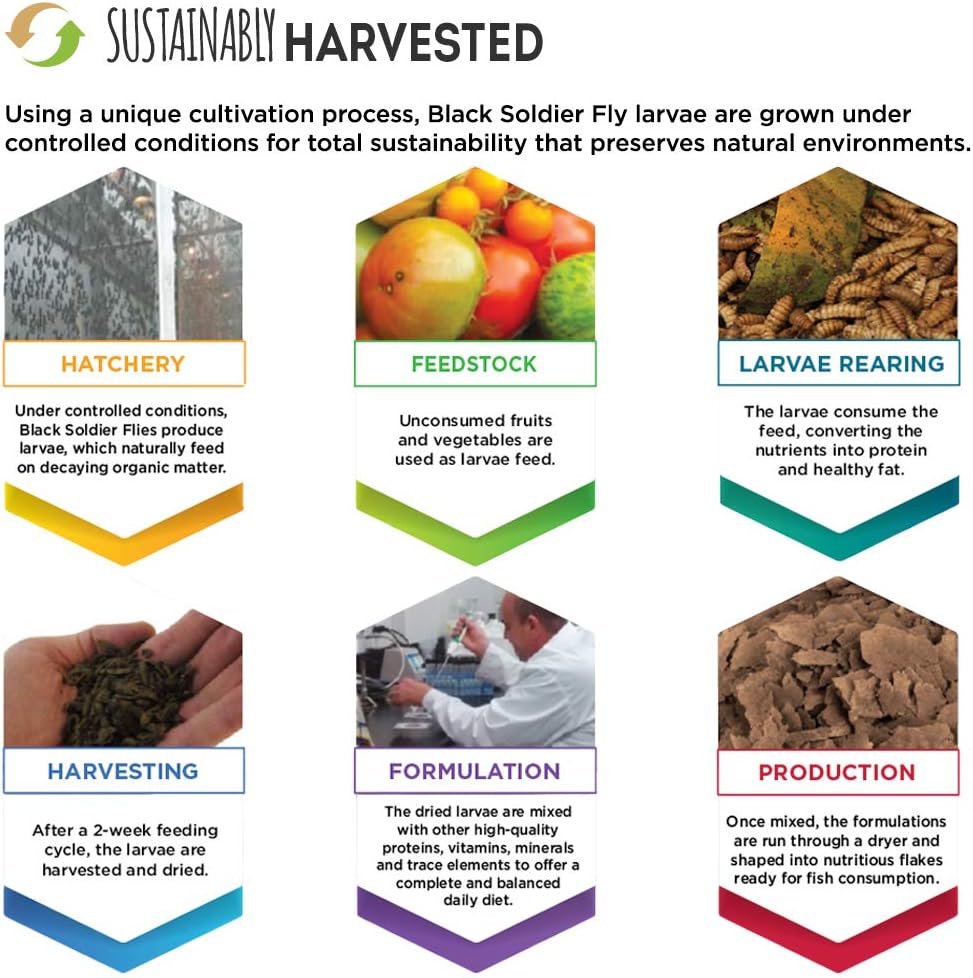 غذاء حبوب غني بالبروتين ومعزز للون الأسماك - Fluval Bug Bites Color