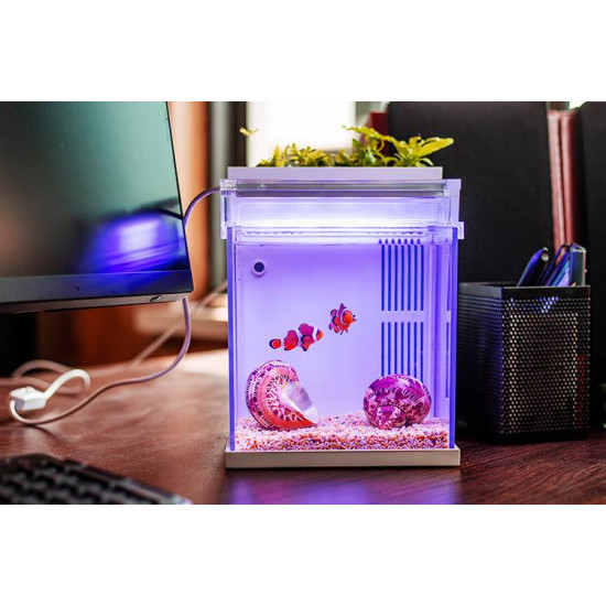 حوض كامل صغير مميز مع فلتر وإضاءة بحرية USB من شركة - QANVEE aquarium حوض كامل صغير مميز مع فلتر وإضاءة بحرية USB من شركة - QANVEE aquarium