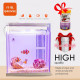حوض كامل صغير مميز مع فلتر وإضاءة بحرية USB من شركة - QANVEE aquarium حوض كامل صغير مميز مع فلتر وإضاءة بحرية USB من شركة - QANVEE aquarium