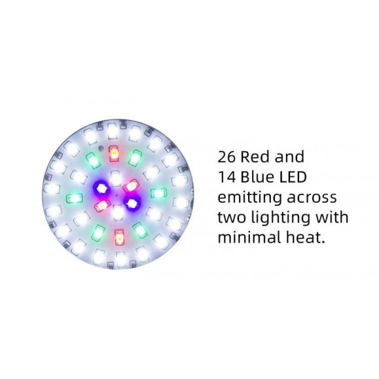 مجموعة المحترفين حوض زجاجي مع إضاءة WRGB بحجم 20سم - Pro aquarium KIT مجموعة المحترفين حوض زجاجي مع إضاءة WRGB بحجم 20سم - Pro aquarium KIT