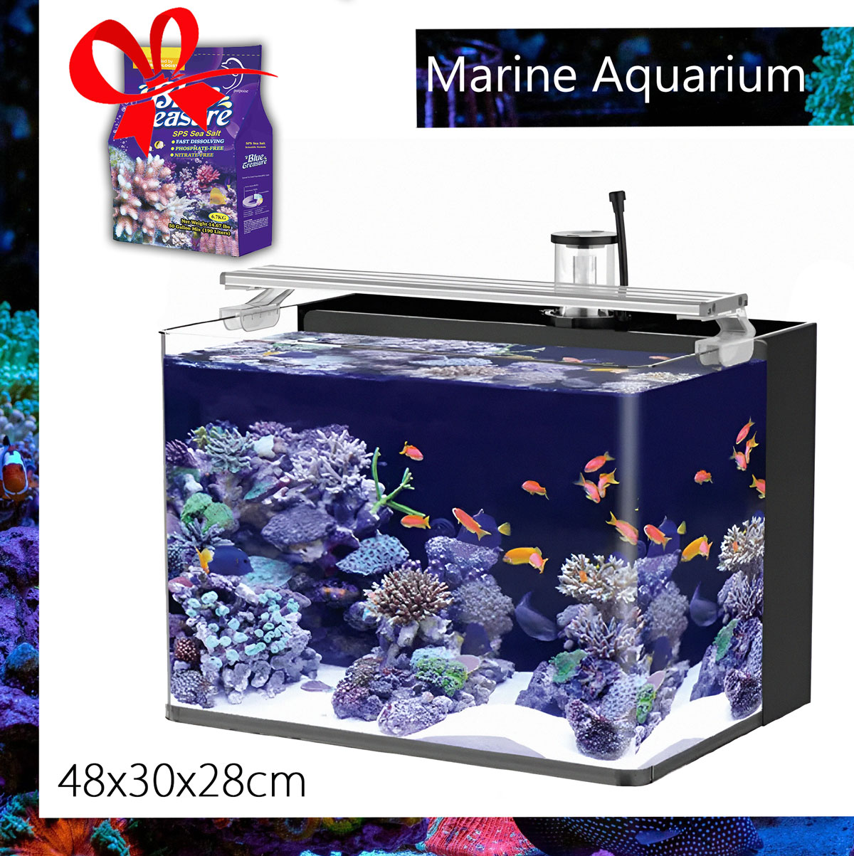 المجموعة الكاملة لحوض النيمو 48 سم - Nemo aquarium 48cm