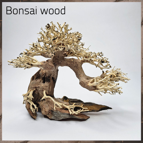 خشب من النوع Bonsai wood مجسم رقم 4 خشب من النوع Bonsai wood مجسم رقم 4