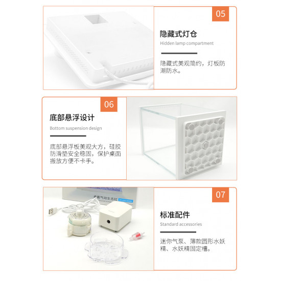 مجموعة حوض زجاجي مع مضخة هواء وفلتر وإضاءة بحرية - QANVEE aquarium مجموعة حوض زجاجي مع مضخة هواء وفلتر وإضاءة بحرية - QANVEE aquarium