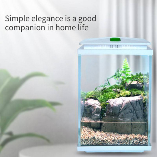 مجموعة حوض زجاجي مع مضخة هواء وفلتر وإضاءة بحرية - QANVEE aquarium مجموعة حوض زجاجي مع مضخة هواء وفلتر وإضاءة بحرية - QANVEE aquarium