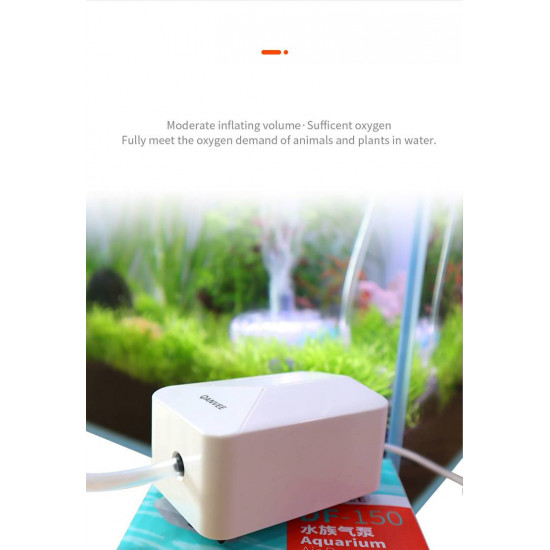 مجموعة حوض زجاجي مع مضخة هواء وفلتر وإضاءة نهرية - QANVEE aquarium