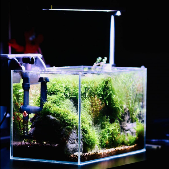 إضاءة أنيقة WRGB الذكية بمواصفات إحترافية للأحواض النباتية - MicMol SOLO smart إضاءة أنيقة WRGB الذكية بمواصفات إحترافية للأحواض النباتية - MicMol SOLO smart