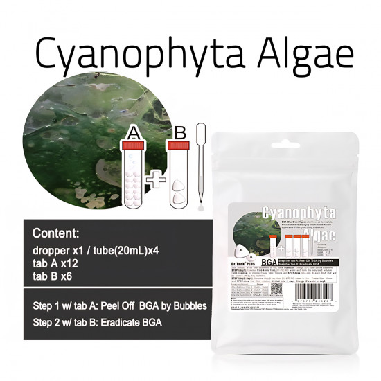 مكافح الطحالب العنيدة الزرقاء المخضرة - Cyanophyta Algae مكافح الطحالب العنيدة الزرقاء المخضرة - Cyanophyta Algae