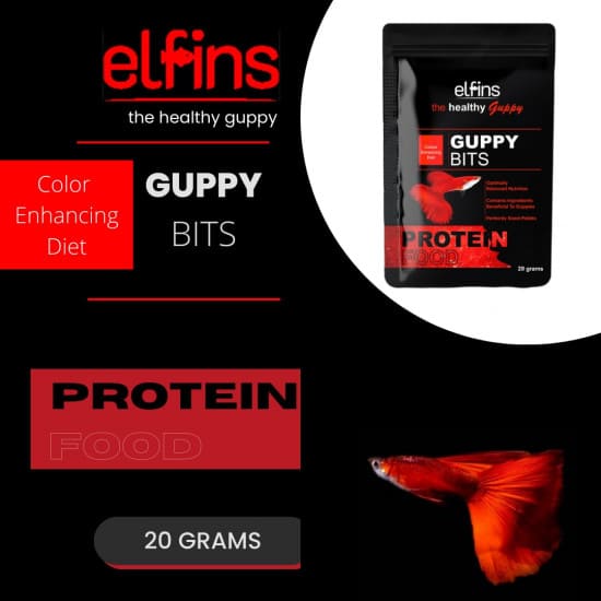 غذاء أسماك الجوبي والأسماك الإستوائية 20 جرام - elfins Guppy Bits غذاء أسماك الجوبي والأسماك الإستوائية 20 جرام - elfins Guppy Bits