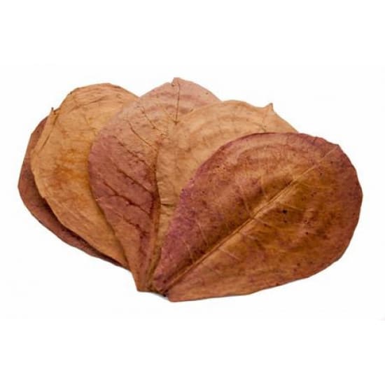 ورق لوز مجفف لربيان أو الشريمب والسمك - Indian Almond Leaves shrimp ورق لوز مجفف لربيان أو الشريمب والسمك - Indian Almond Leaves shrimp