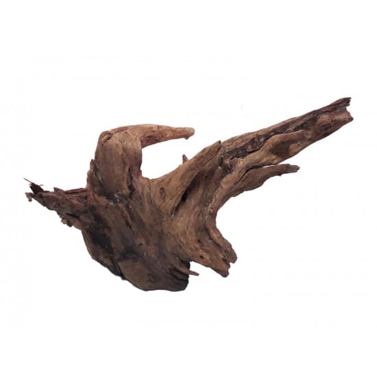 خشب متحجر من النوع Bogwood مقاس وسط وكبير (معالج) خشب متحجر من النوع Bogwood مقاس وسط وكبير (معالج)