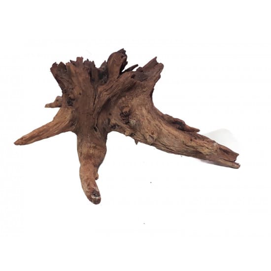 خشب متحجر من النوع Bogwood مقاس وسط وكبير (معالج) خشب متحجر من النوع Bogwood مقاس وسط وكبير (معالج)